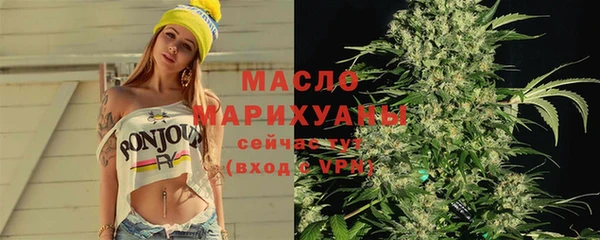 индика Ельня