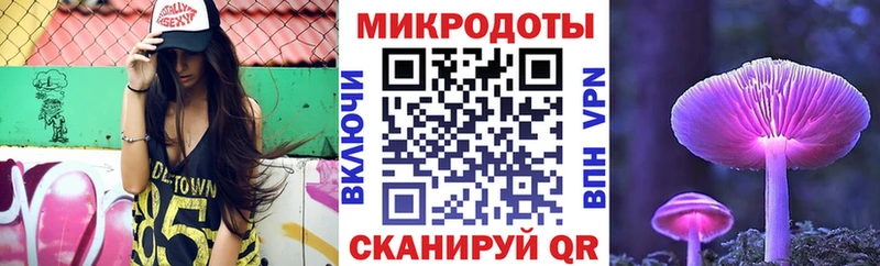 Псилоцибиновые грибы Psilocybine cubensis Усинск