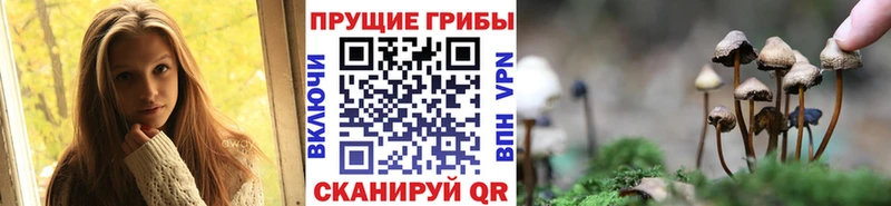 shop состав  закладка  Усинск  Псилоцибиновые грибы Cubensis 
